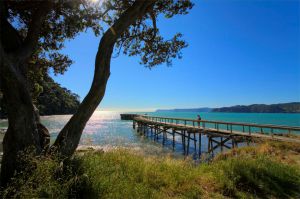 30Apr2016030458Hicks Bay Pier.jpg